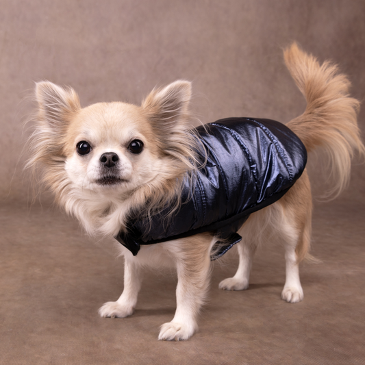 FLAMINGO Abrigo Wasa para perros