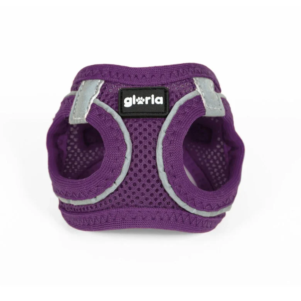 GLORIA Arnés Air Mesh Trek Star Morado