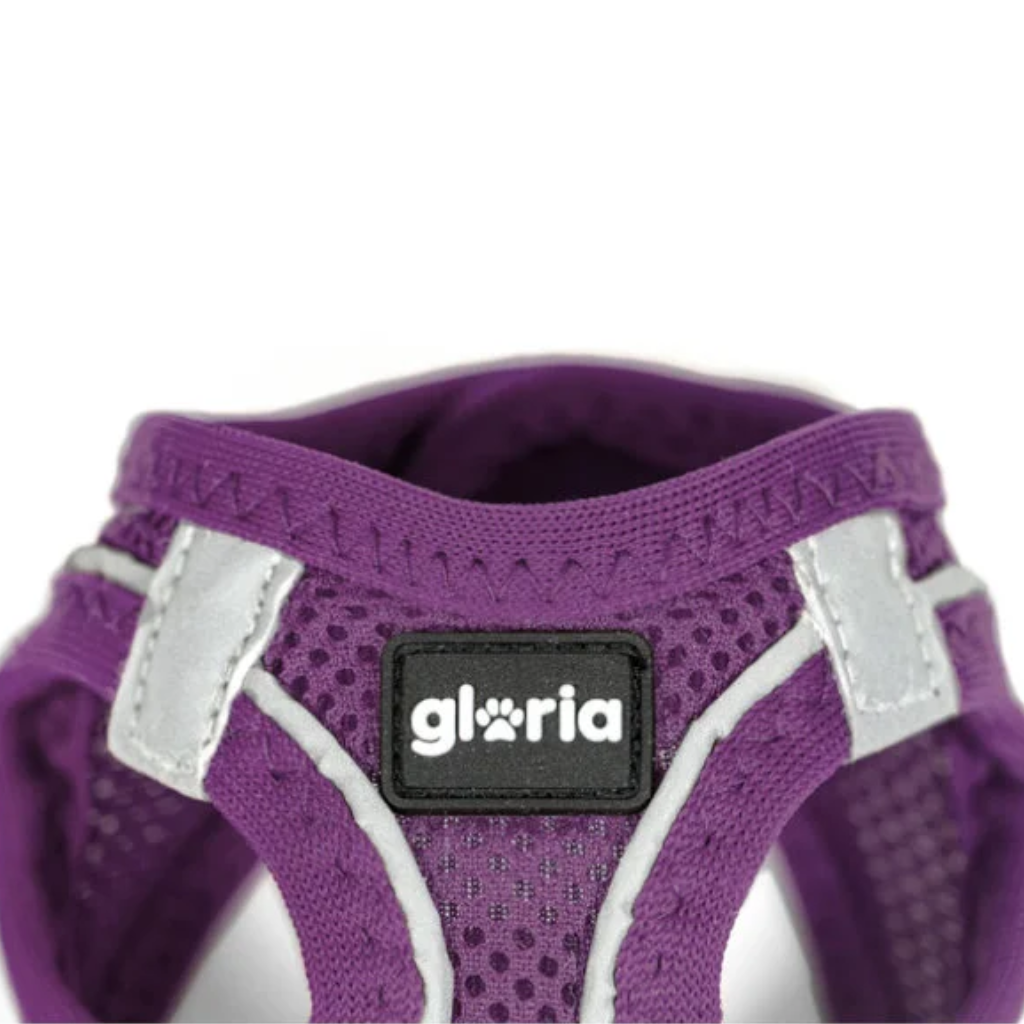 GLORIA Arnés Air Mesh Trek Star Morado