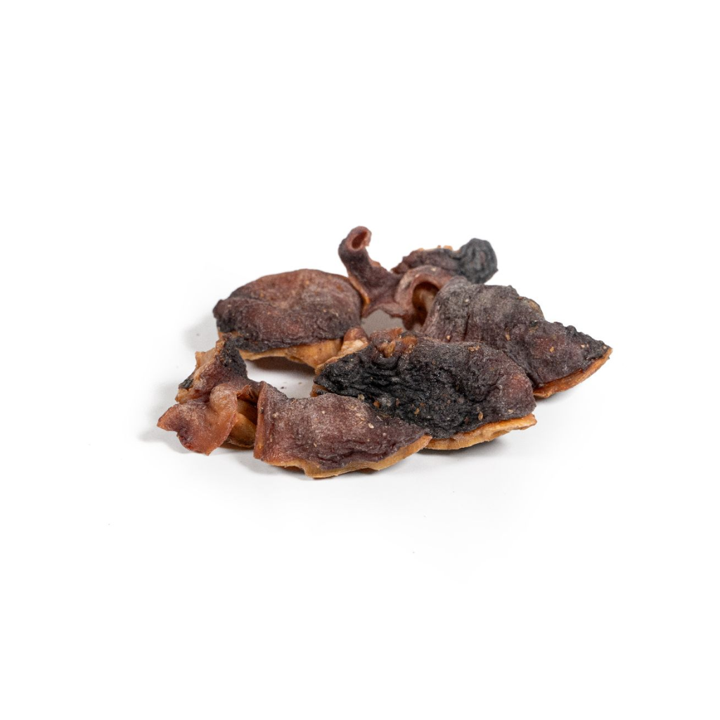 GLORIA Cabeza de Pulpo Deshidratada 100 g