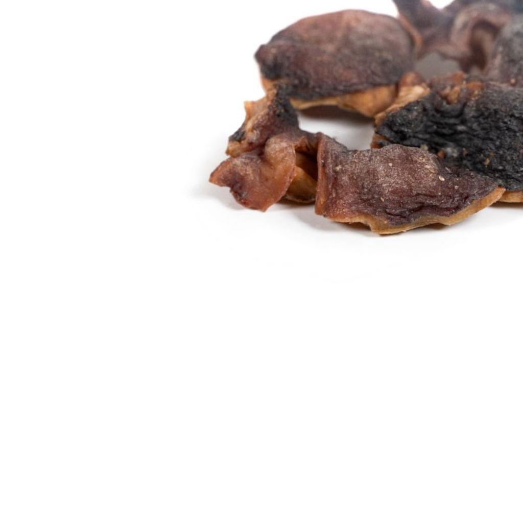 GLORIA Cabeza de Pulpo Deshidratada 100 g