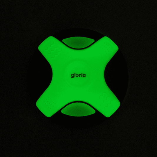 GLORIA Frisbee Easy Catch Brilla en la Oscuridad para perros
