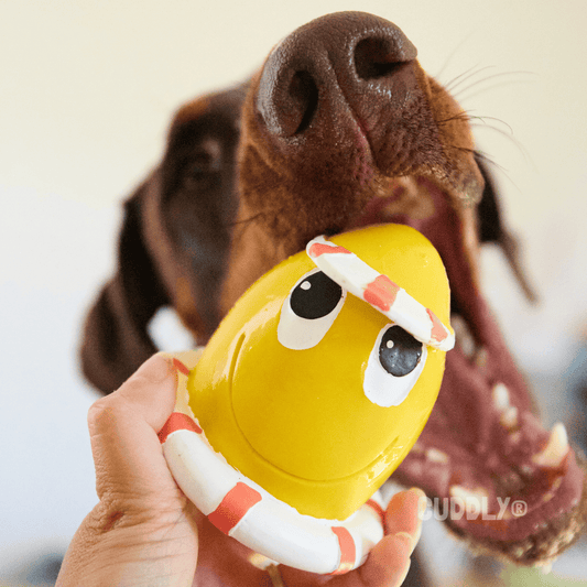 LANCO Huevo Veraniego Flotador para perros