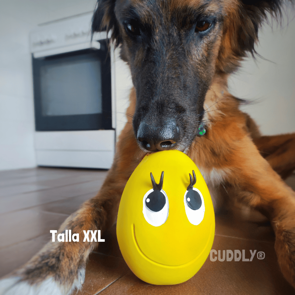 LANCO Huevo Látex para perros