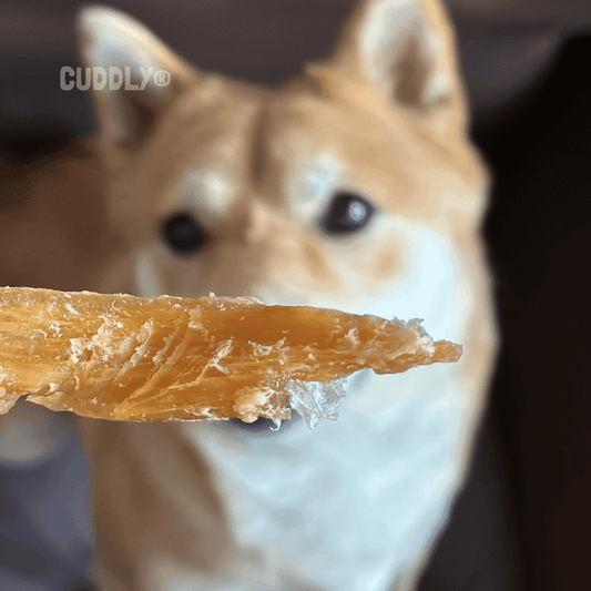 GLORIA Tendón Toro granel para perros