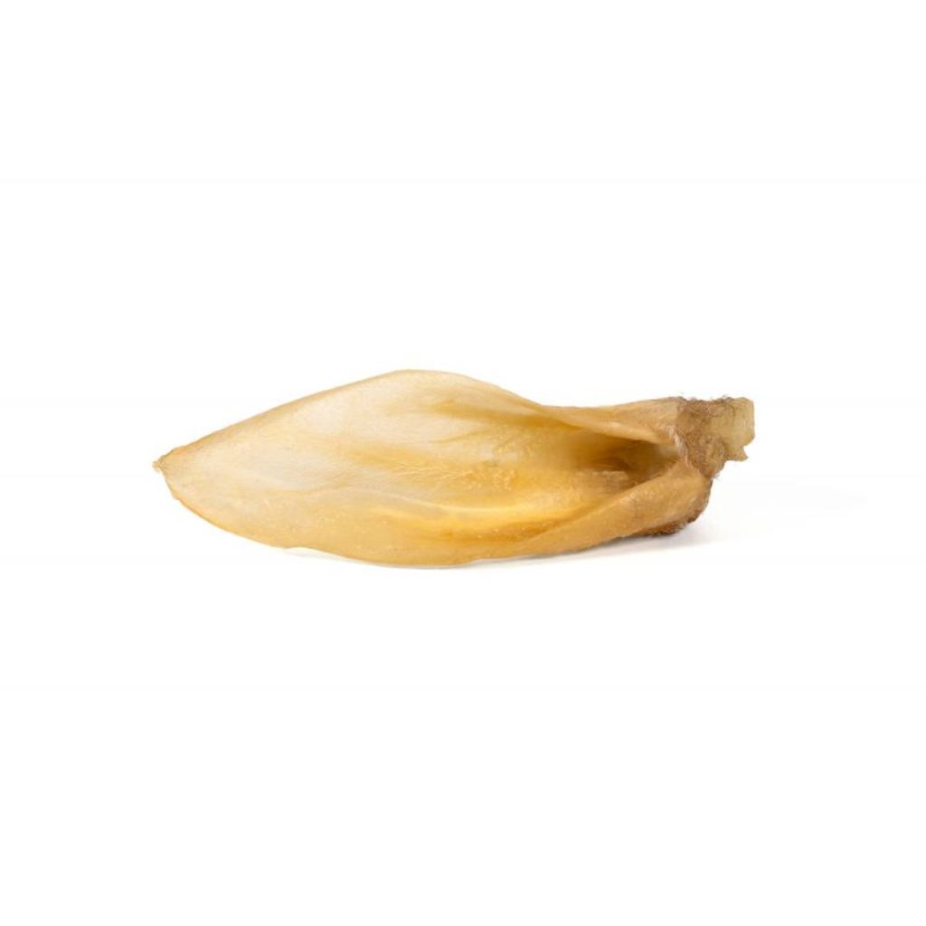 GLORIA Oreja de Cordero granel