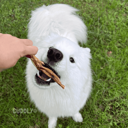 GLORIA Patas de Pato granel para perros