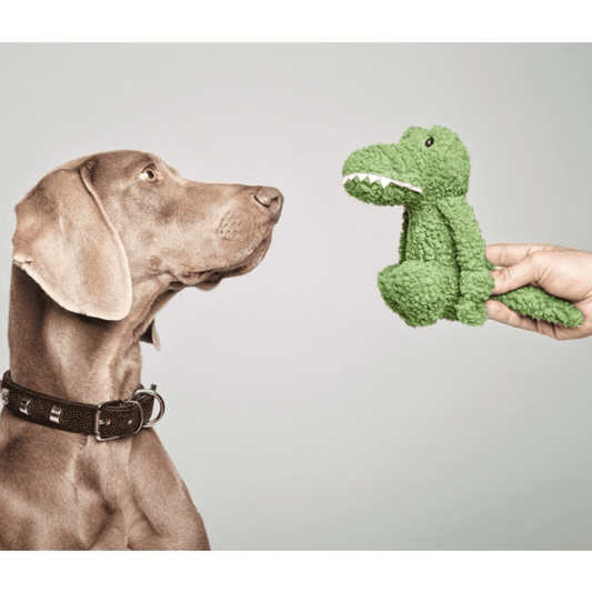 GLORIA Buky cocodrilo peluche para perros