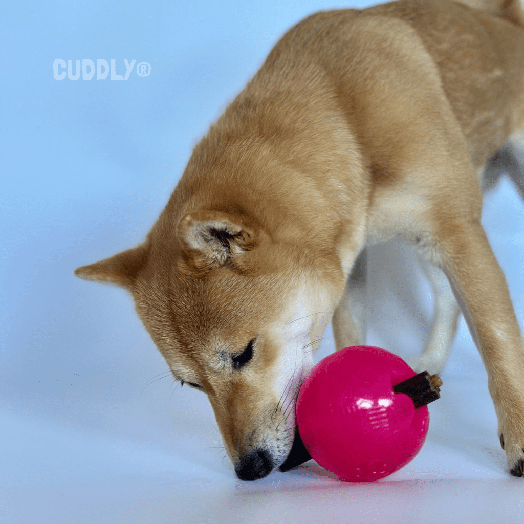 GLORIA Pelota perros TPR