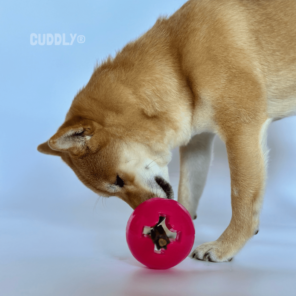 GLORIA Pelota perros TPR