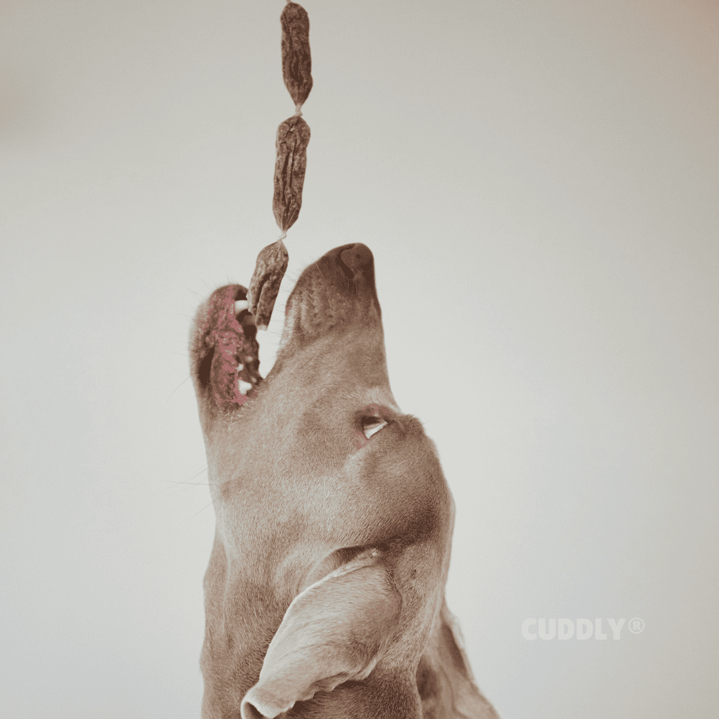 GLORIA Sticks de Pollo 200 g