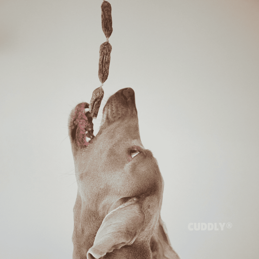 GLORIA Sticks de Pollo 200 g para perros