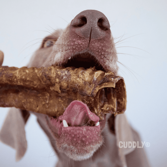Ternera Box (Snacks) para perros