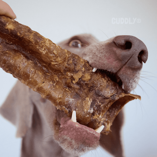 Granel Box (Snacks) para perros