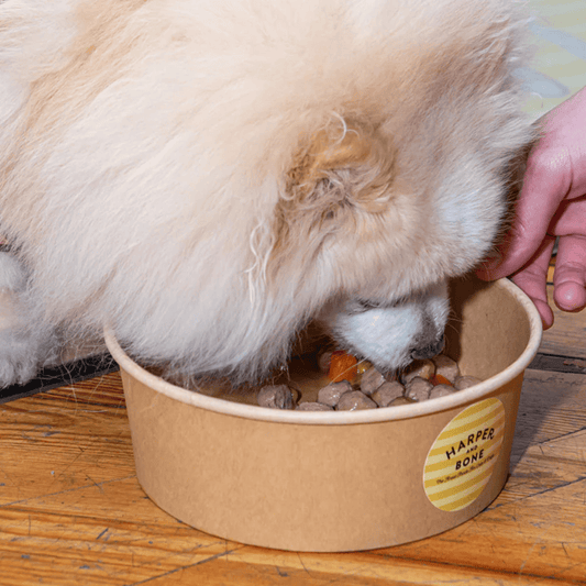 HARPER&BONE Albóndigas Ocean Wonders 300 g para perros