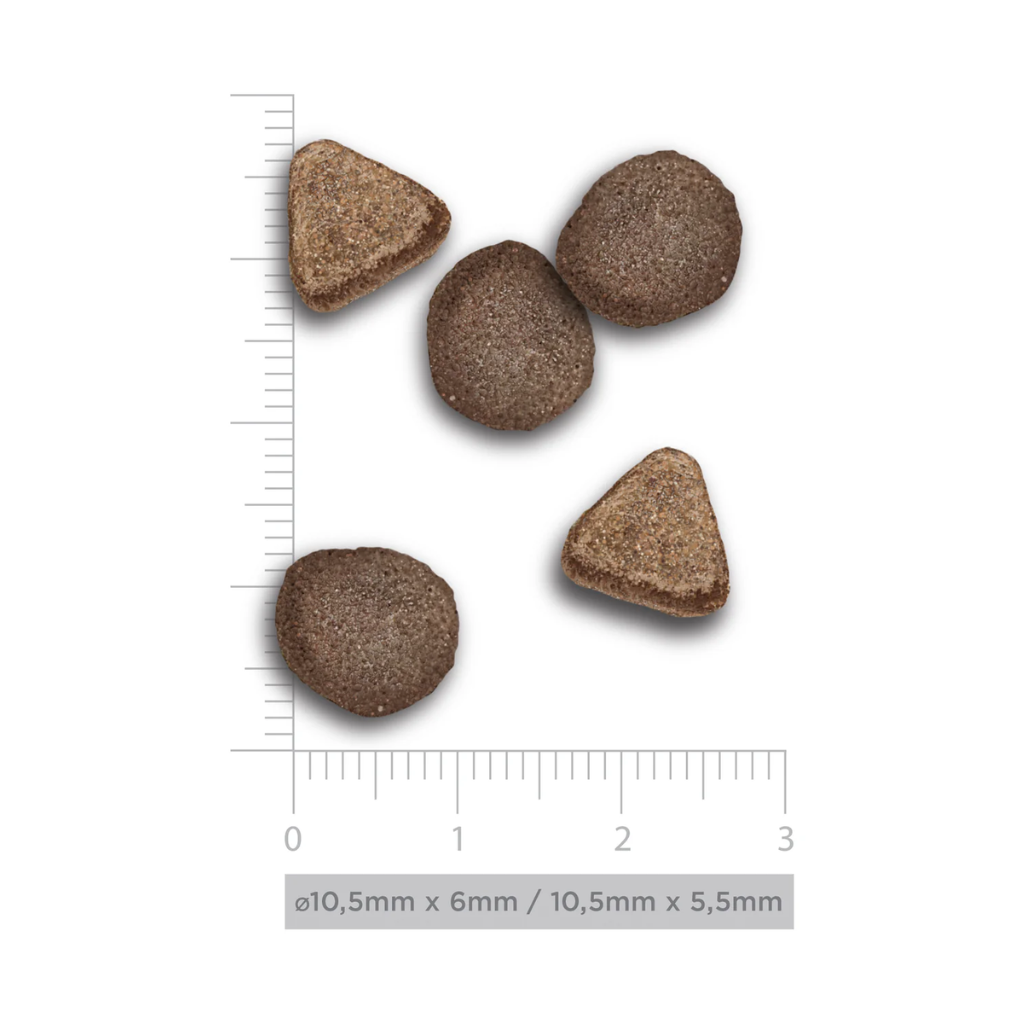 HARPER&BONE Fresh Market Sterilised Cat 2 Kg para gatos