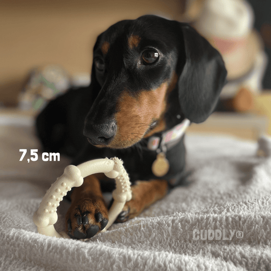 KARLIE Chew Ring Nylon sabor Pollo para perros