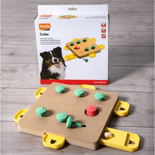 KARLIE Cube interactivo (nivel avanzado) para perros