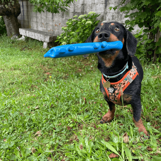 KARLIE Lagarto Látex para perros