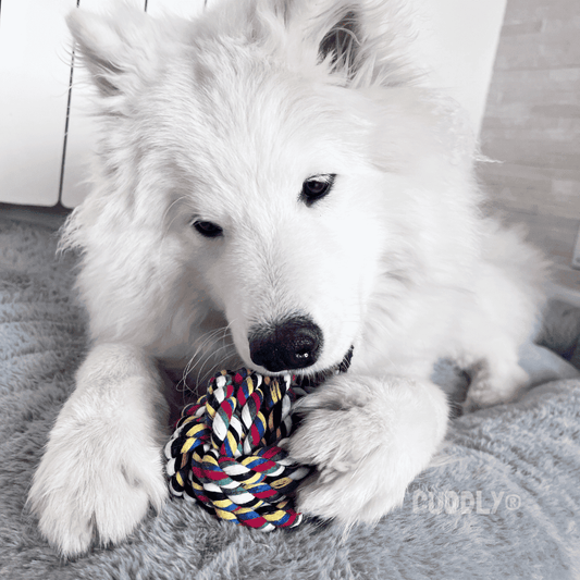 KARLIE Pelota de Cuerda para perros