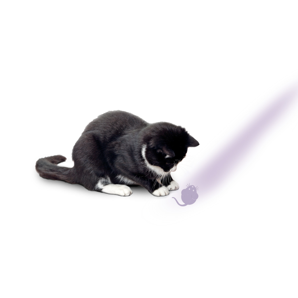 KARLIE Puntero LED Dibujo Ratón en Display para gatos