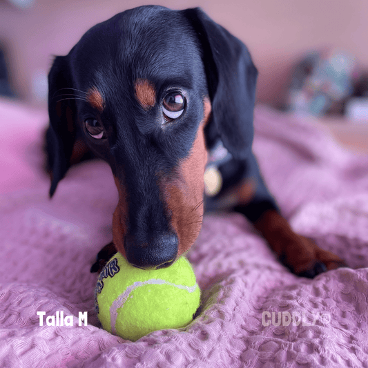 KONG SqueakAir Pelota con Sonido