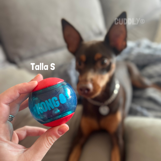 KONG Pelota Squeezz Action para perros