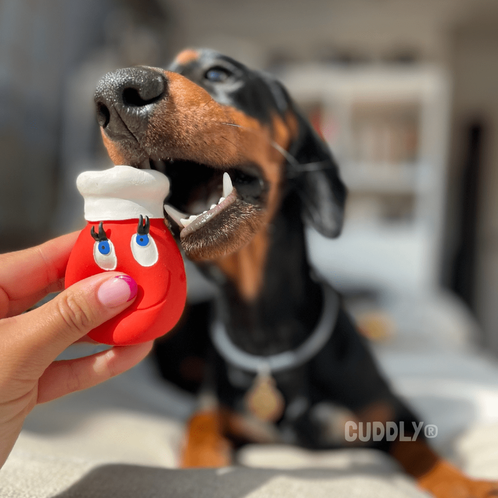 LANCO Huevo Chef Mini Rojo para perros