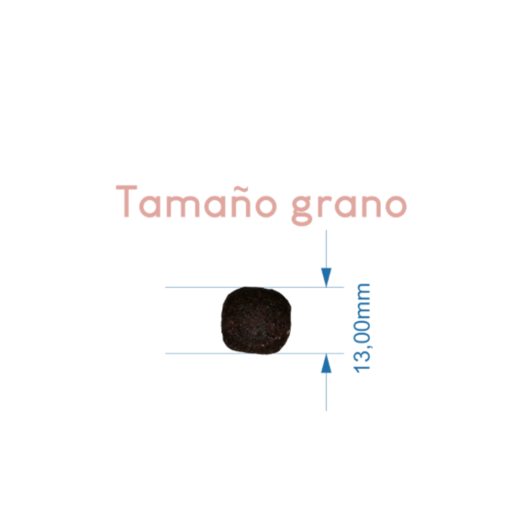 LENDA Salmón para perros