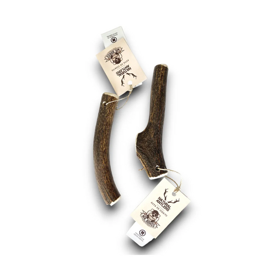 MR. BONES Mordedor Asta de Ciervo Entera para perros