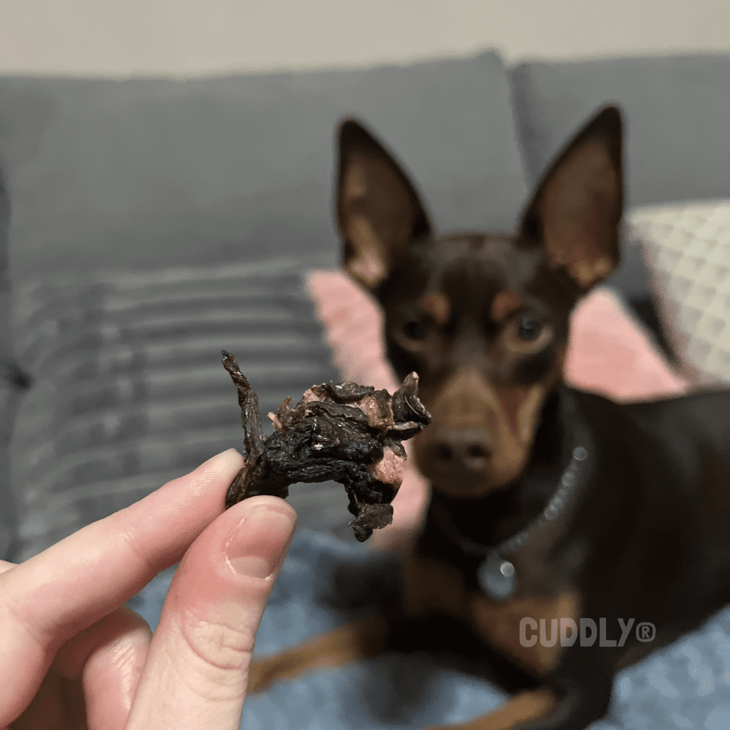 MR. BONES Raw Treats Lomo de Ciervo 45 g para perros y gatos