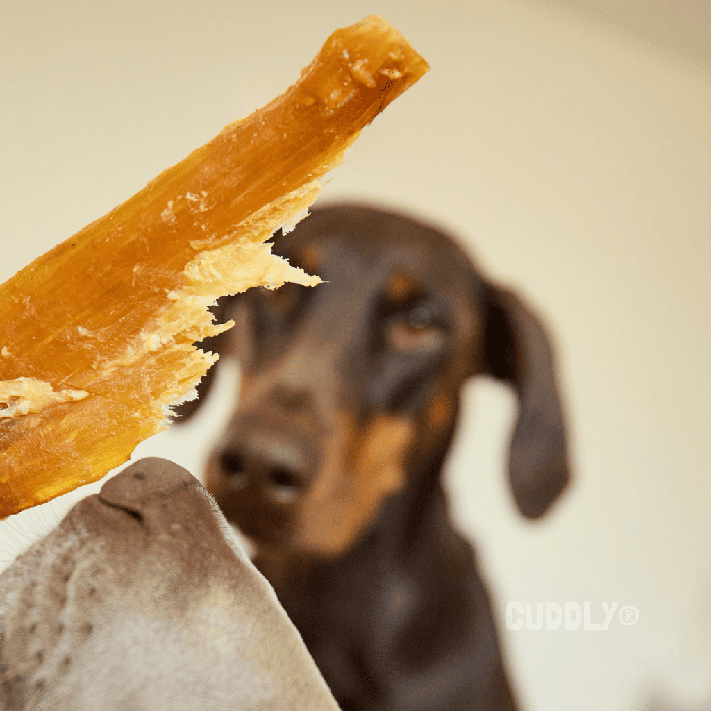 MR. BONES Tendón de Toro 150 g para perros