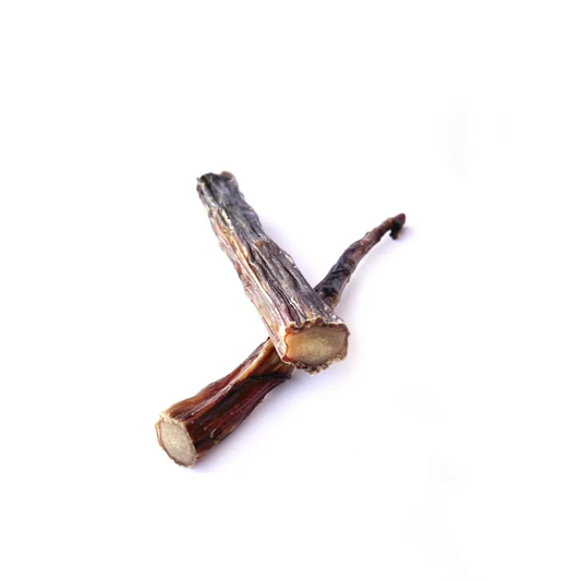 MR. BONES Rabo de Toro para perros