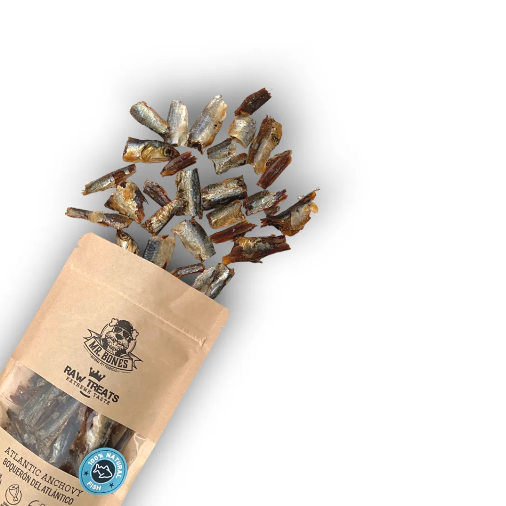 MR. BONES Raw Treats Boquerón 45 g