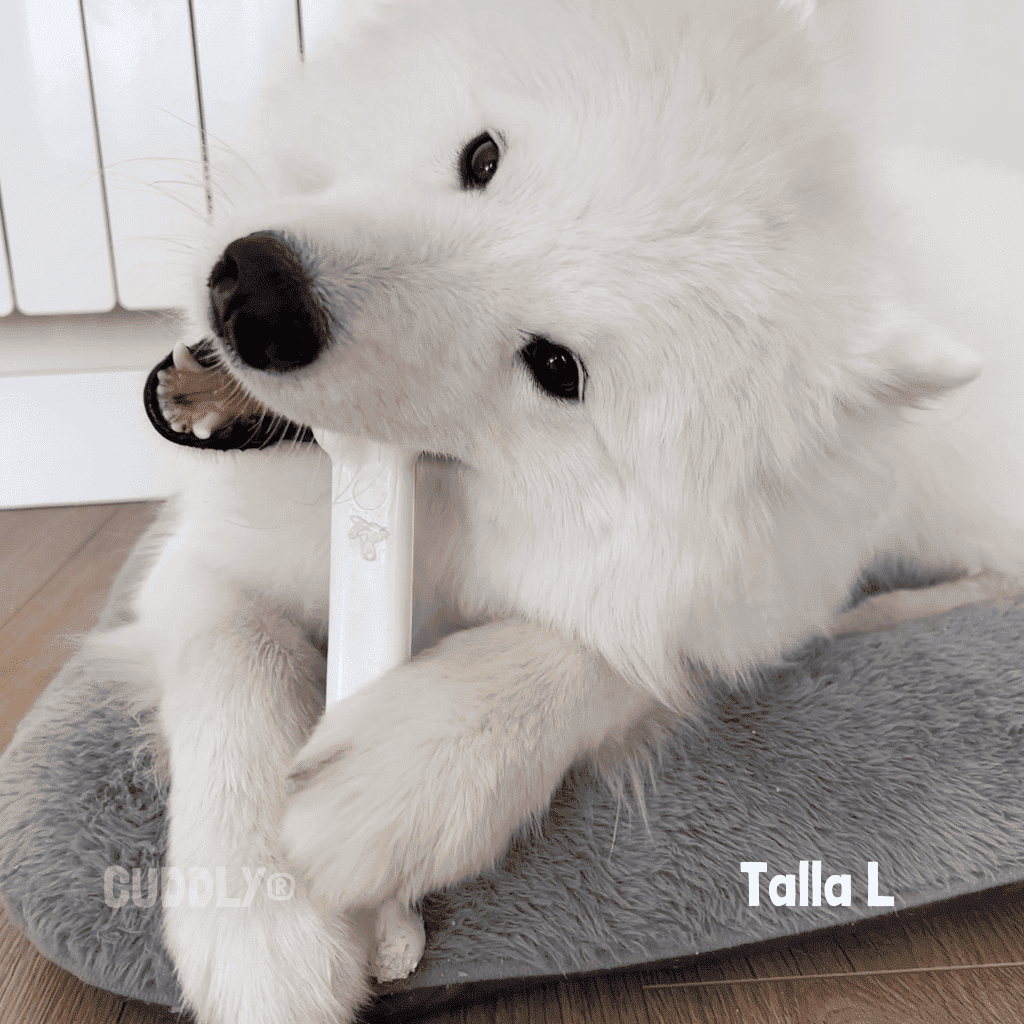 NYLABONE Hueso Sabor Pollo para perros