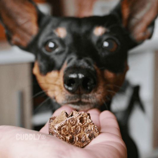 PUROMENU Nuggets de Pulmón de Vacuno 100 g para perros