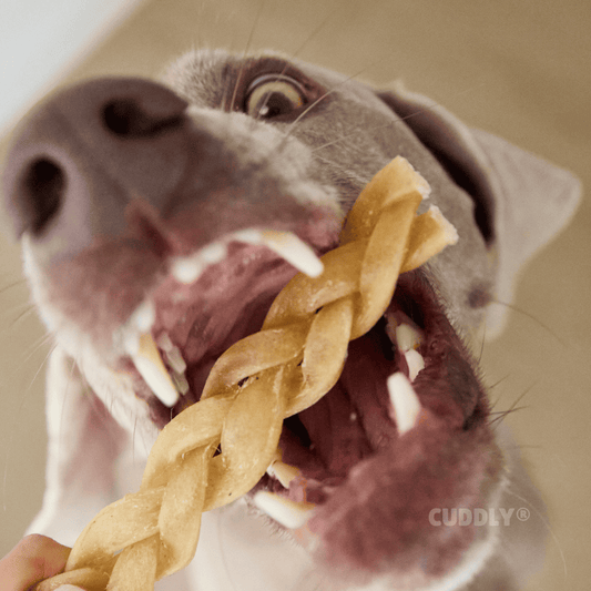 PUROMENU Trenzas de Búfalo 100 g para perros