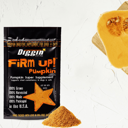 DIGGIN Firm Up! Pumpkin para perros y gatos