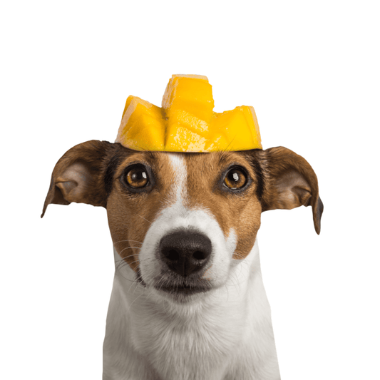 TIPPY TAPS Mango 80 g para perros