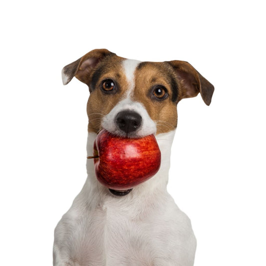 TIPPY TAPS Manzana Dulce 100 g para perros