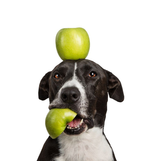 TIPPY TAPS Manzana 100 g para perros