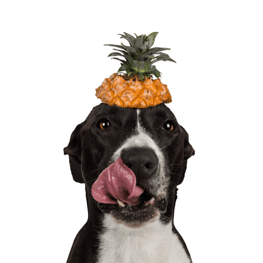 TIPPY TAPS Piña 80 g para perros