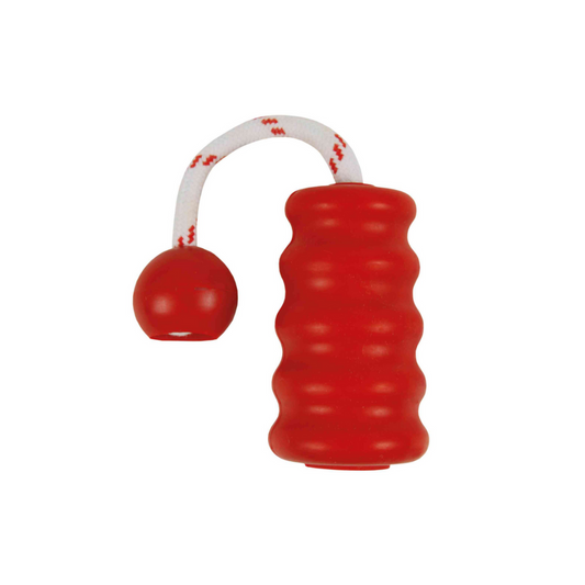 TRIXIE MotFun de Caucho Flotante para perros