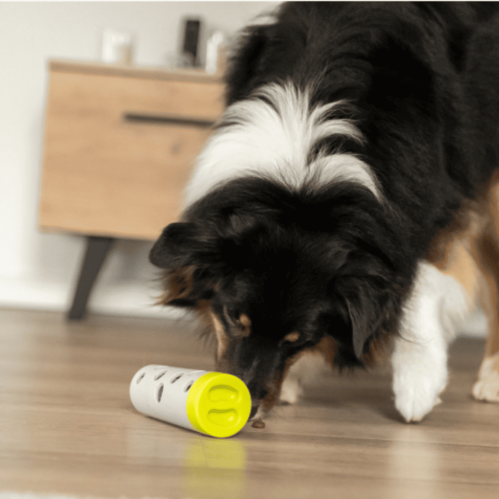 TRIXIE Dog Activity Snack Roll
