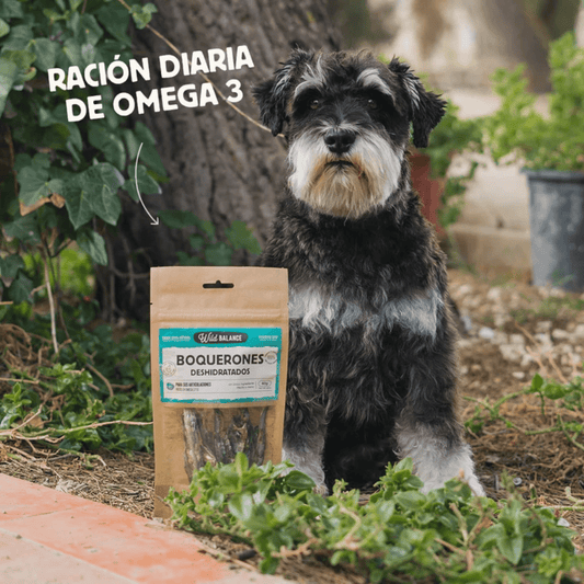 WILD BALANCE Boquerones Deshidratados 40 g para perros y gatos