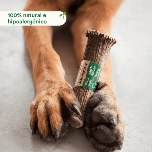 WILD BALANCE Mordedor Asta de Ciervo Entera para perros