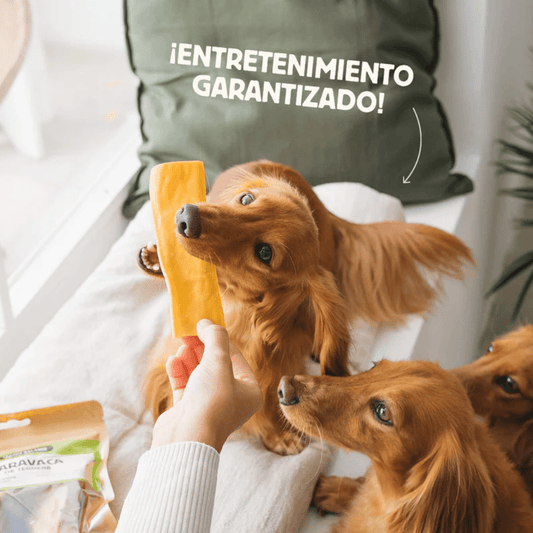 WILD BALANCE Caravaca de Ternera 100 g para perros