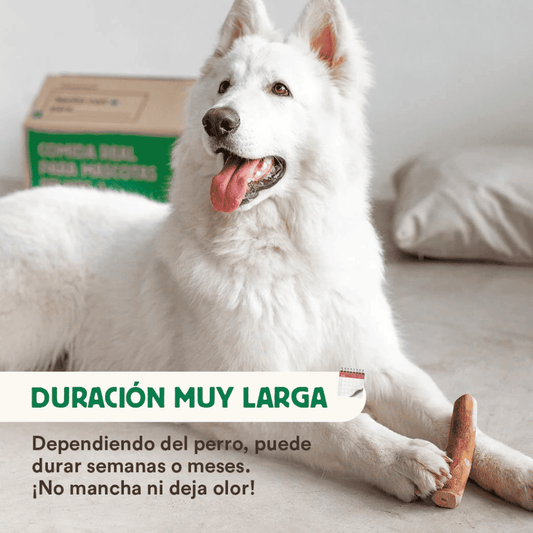 WILD BALANCE Mordedor Palo Madera de Olivo para perros