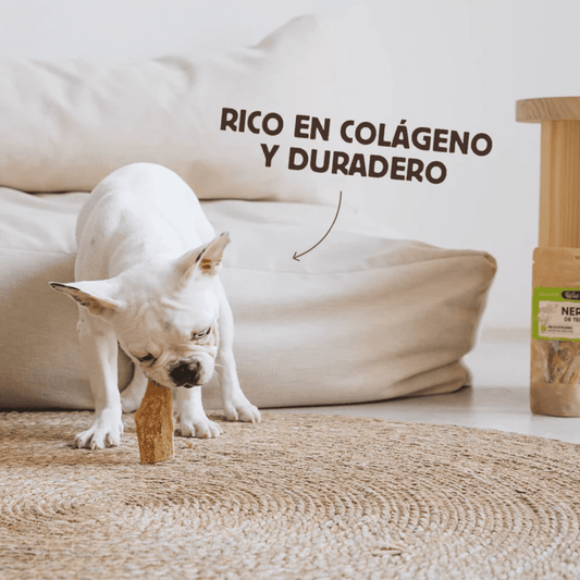 WILD BALANCE Nervio de Ternera 100 g para perros