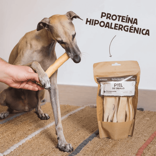 WILD BALANCE Piel de Caballo 100 g para perros